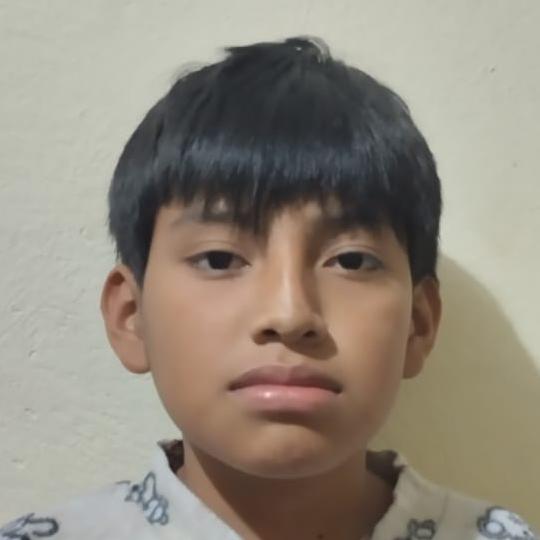 User Image
