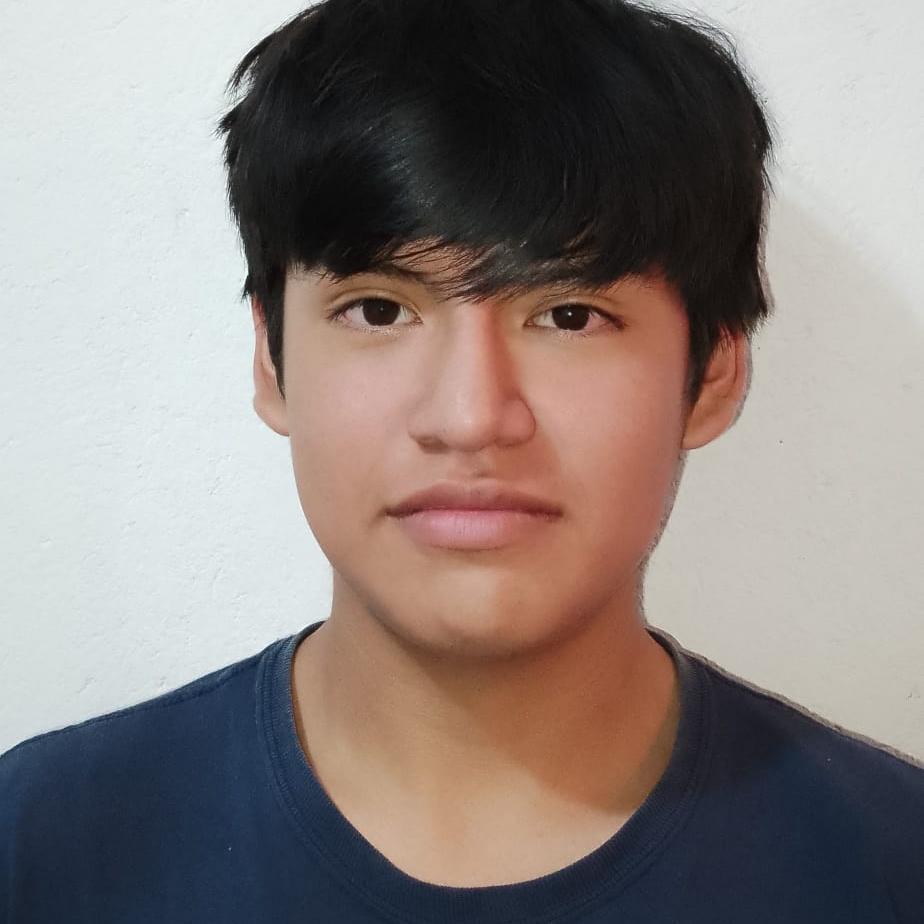User Image