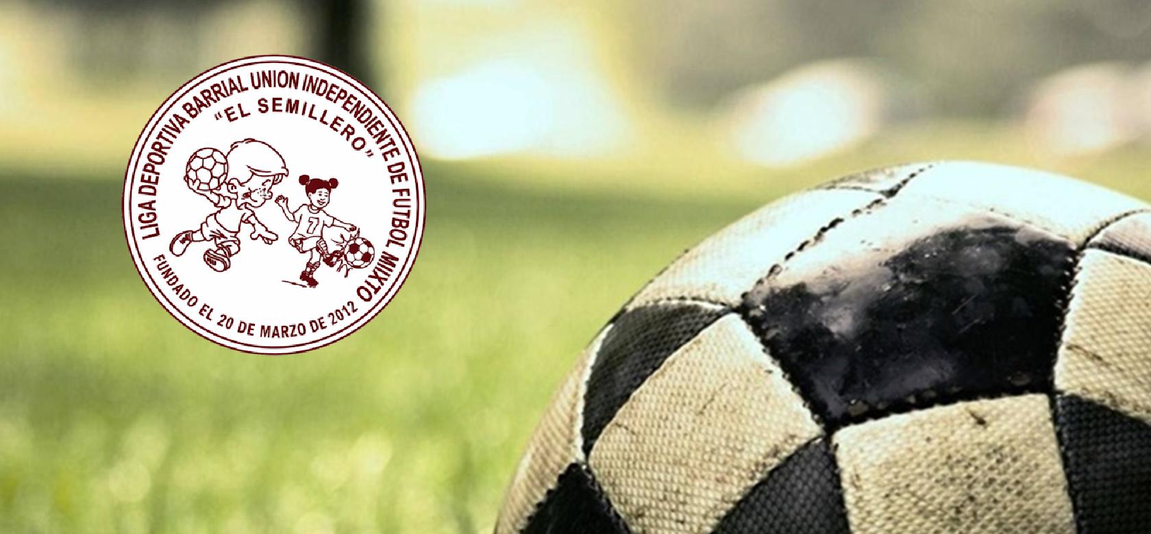 Liga. D. Barrial U. I. D .F Mixto "EL SEMILLERO"
